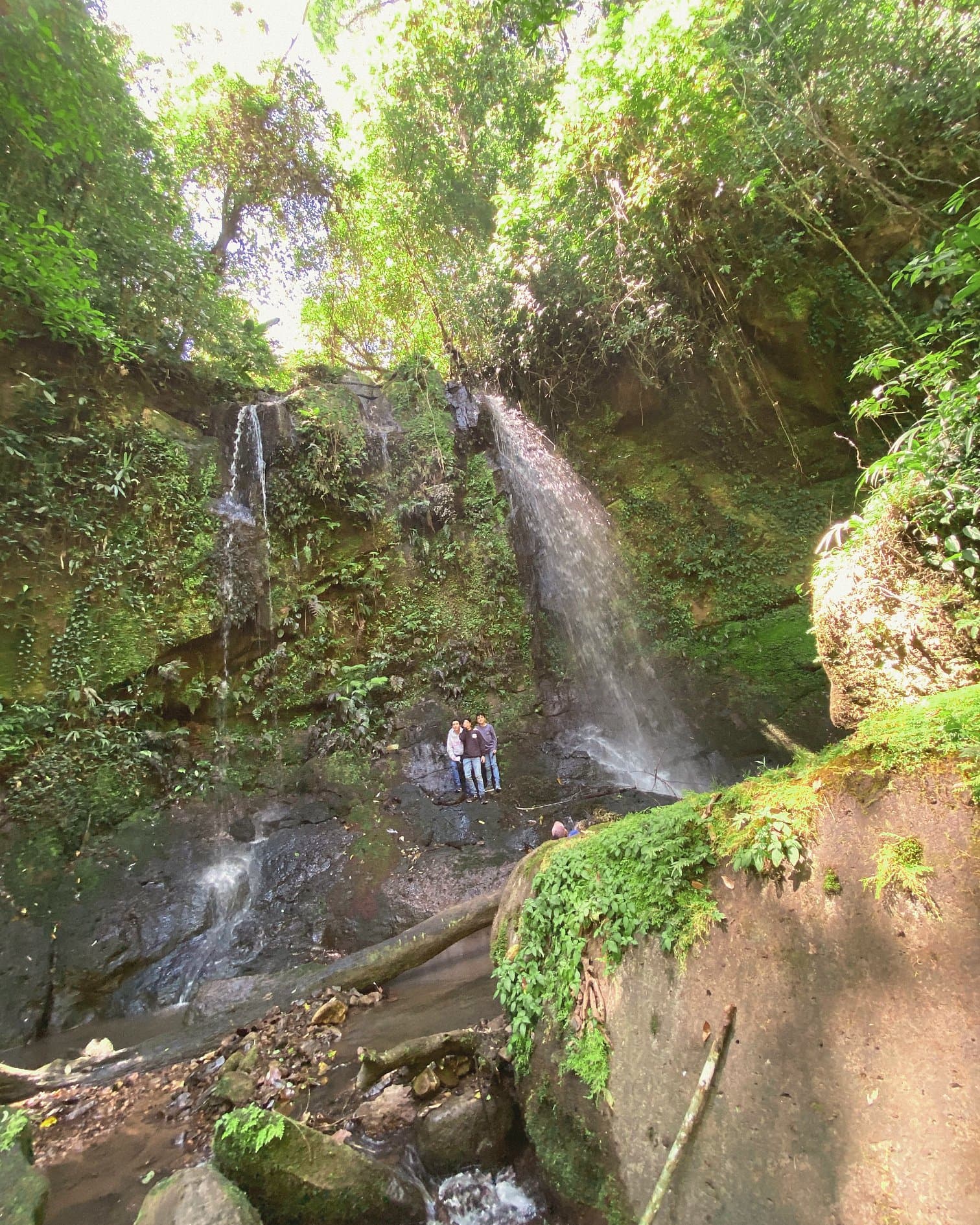 Waterfall in protected forest in the Nicaraguan highlands, Matagalpa